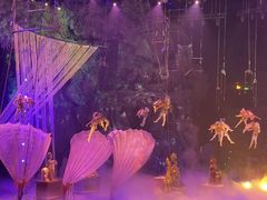 -广州长隆国际大马戏