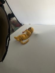 -微笑宝贝儿童摄影(梵华1939店)