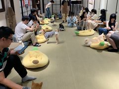 -逗柴咖啡屋·狗咖猫咖宠物桌游