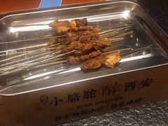-福苗小骆驼烧烤(大唐不夜城店)