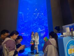 -成都浩海立方海洋公园