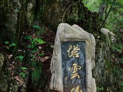 -塔云山