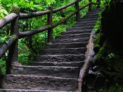 -碧峰峡风景区