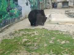 -黔灵山公园