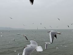 -苏州吴中太湖旅游区