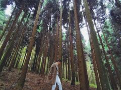 -山王坪喀斯特国家生态公园