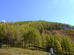 -塞罕坝国家级自然保护区