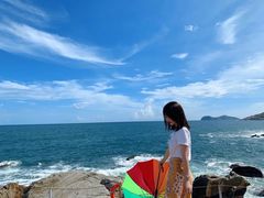 -广东惠东海龟国家级自然保护区