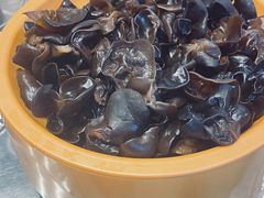 -龍歌自助小火锅(李沧顺和汇店)