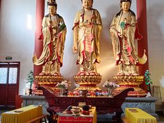-上海东林寺(金山区)