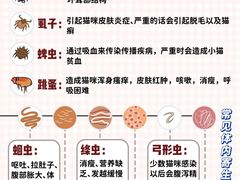 -艾吉宠物医院·疑难杂症转诊中心·猫友好(碧江路院)