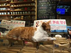 -猫的天空之城概念书店(西塘古镇店)