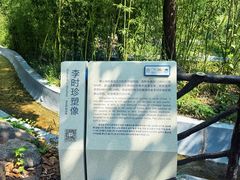 -沂蒙山旅游区云蒙景区(蒙山国家森林公园)