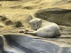 -香港海洋公园