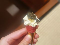 -月龍吟(朝龙汇店)