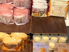 -新加坡瑞士史丹福酒店