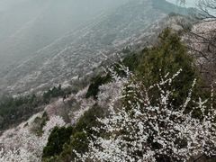 -北京鹫峰国家森林公园