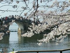 android_upload_pic-无锡新湖铂尔曼大酒店