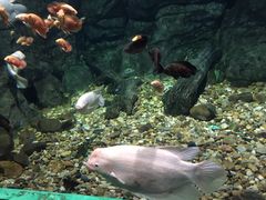 -常州海昌海洋探索馆