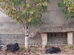 -三里河公园