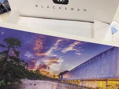 -BLACKSWAN黑天鹅(环球店)