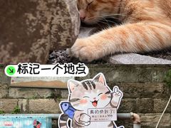 -磁器口古镇