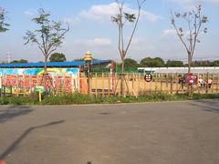 -上海长兴岛郊野公园