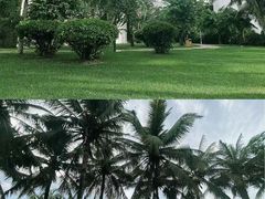 -三亚亚龙湾金棕榈度假酒店