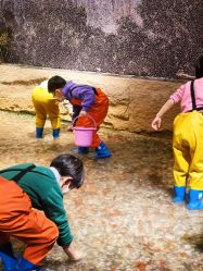 -造物庄园 萌宠纪(苏州湾歌林公园店)