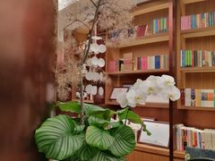 -二酉书店TOYOU BOOKS