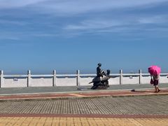 景点-广东惠东海龟国家级自然保护区