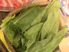 -巴卤社老火锅(财富店)