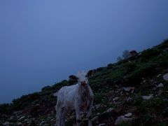-灵山