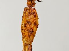 烤大鱿鱼-张杨烤菜(渭南总店)