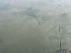 -水岸居湖景农家乐·阳澄湖大闸蟹