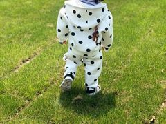 -春花秋色城市公园