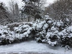 -人民防洪胜利纪念塔