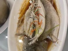 -河南盛世民航国际酒店·星空餐厅