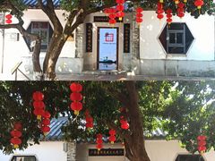 -广州神农草堂中医药博物馆