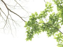 -聚龙山公园