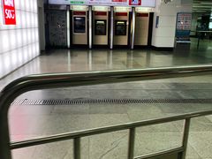 -大剧院(地铁站)