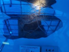 -辽宁古生物博物馆