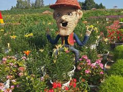 -北纬44度·金珠花海休闲农业旅游景区