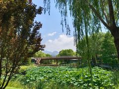 -天平湖公园