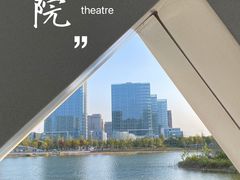 -金沙湖公园