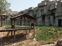 -石家庄市动物园