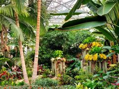 -北京植物园-展览温室