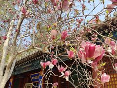 -潭柘寺景区
