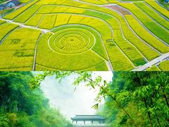 -三峡人家风景区