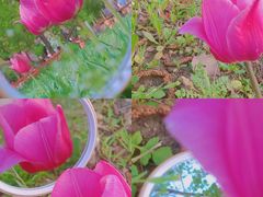 -长春公园(普阳街道)